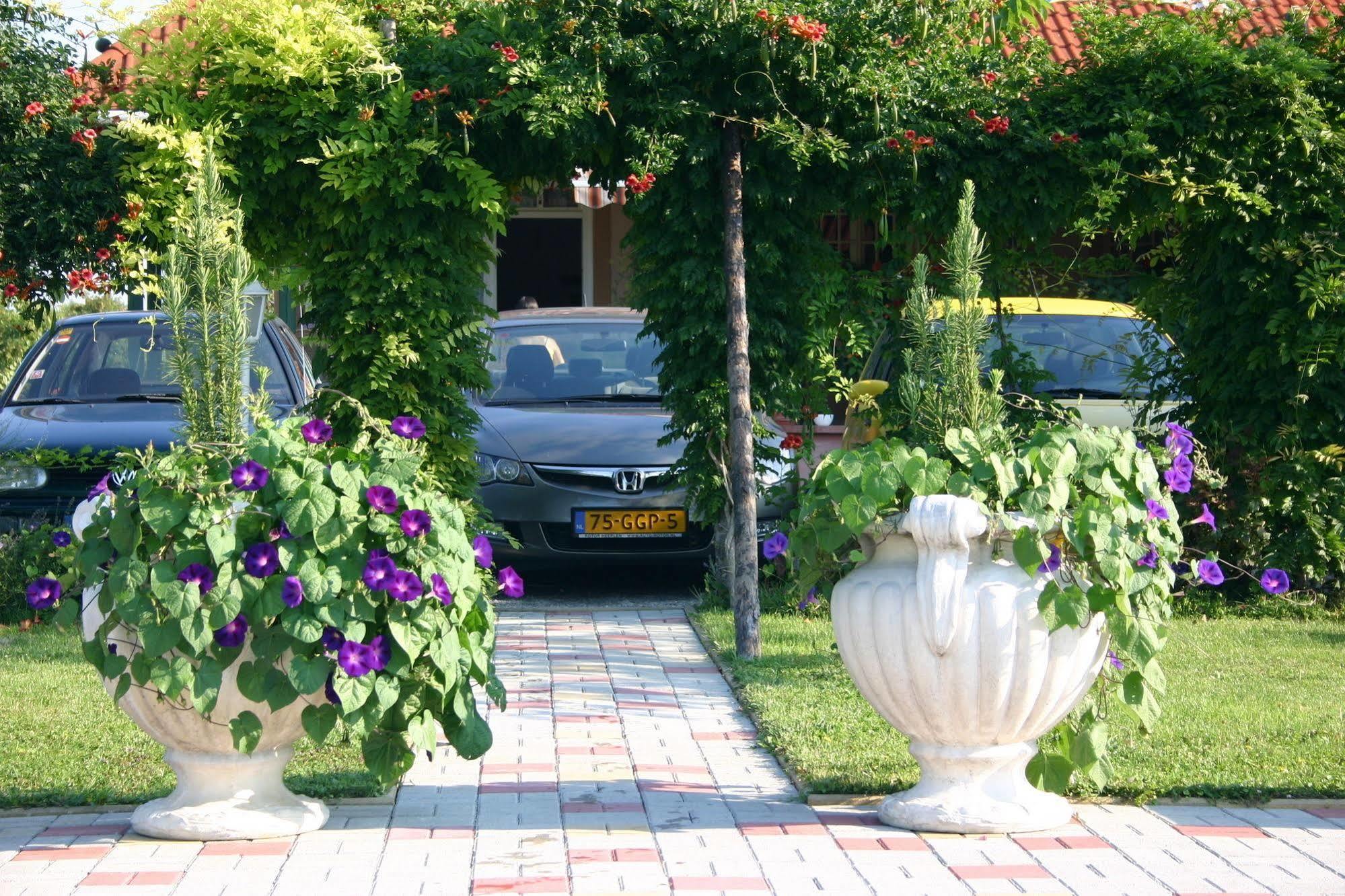 Lorelei Pension Adults Only Gyenesdiás Buitenkant foto