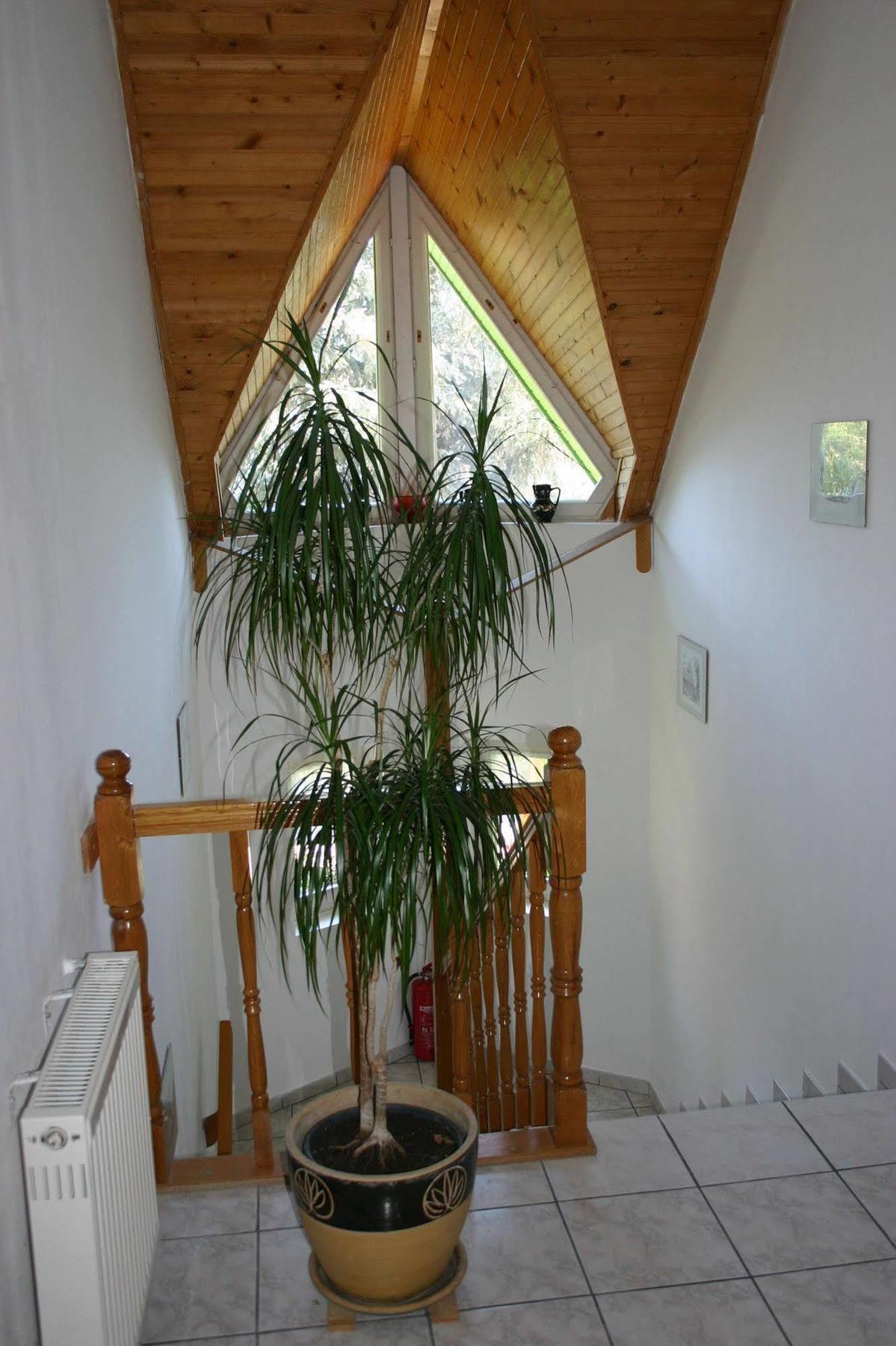 Lorelei Pension Adults Only Gyenesdiás Buitenkant foto
